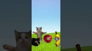 Happy cat made a joke with banana cat