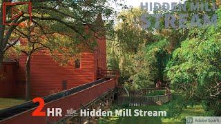 ASMR 4K Hidden Mill Stream - Mid Afternoon - No Talking, No Music, REALTIME NO LOOP