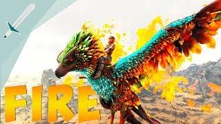 ARK PHOENIX! HOW TO FIND AND TAME! WORTH IT? || Ark: Scorched Earth