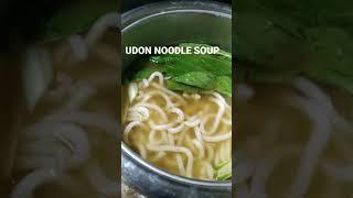 UDON NOODLE SOUP