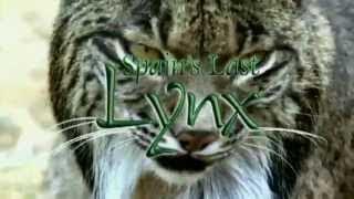 Spains Last Lynx ~ Pure Nature Specials