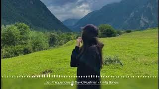 Lost Frequencies & David Kushner - In My Bones | New Music 2024 | Relax Music