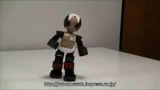 Amazing Humanoid Robot  realistic walking behavior