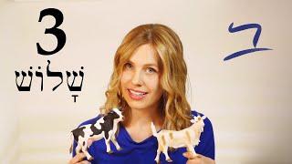 Hebrew - Conjunction & Gender - Free Biblical Hebrew - Lesson 3