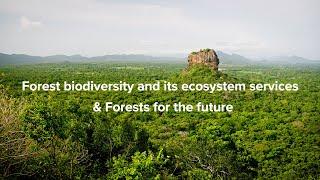 Introducing Today's Theme: Forest biodiversity and its ecosystem services & Forests for the future