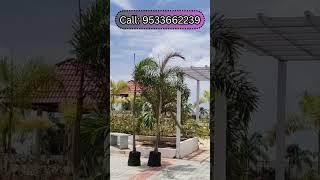 Plot for sale in Vijayawada|| Uppaluru||Uppaluru Railway Station||Guntur|| Amaravathi||
