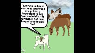 noxpaws horse meat