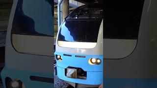 Music Horn: "Light Blue" E653 series at Ueno Station, Tokyo, Japan, December 31, 2024