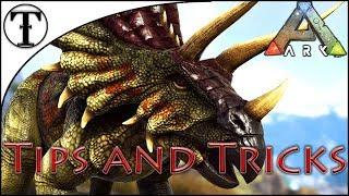 Fast Triceratops(Trike) Taming Guide :: Ark : Survival Evolved Tips and Tricks