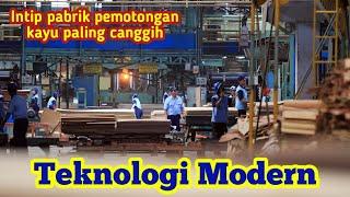 Pabrik Kayu Tercanggih menggunakan teknologi mesin modern !!!