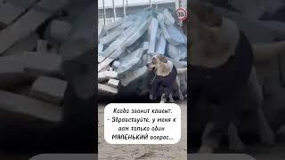 Улыбнись, сегодня сделал креативное видео!