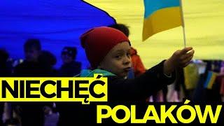 Polacy MAJĄ DOŚĆ Ukraińców?! Eksperci tłumaczą NIECHĘĆ