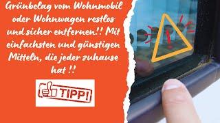 Grünbelag am Wohnmobil und Wohnwagen günstig entfernen!!