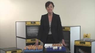 Brinsea OvaEasy Cabinet Egg Incubators