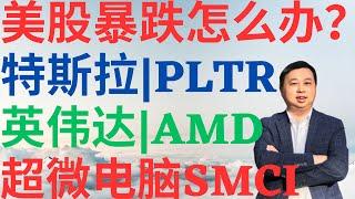 美股899|美股暴跌怎末办?特斯拉,英伟达,PLTR,AMD,超微电脑SMCI! #tsla #nvda #amd #pltr #smci #美股分析 #drmikeinvest #特斯拉 #英伟达