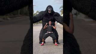 Amapiano dance with King Kong #endurancegrand