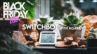 【スマートホーム化するならまずはここから】Switchbotで叶える理想のデスク環境【Switchbot CO2センサーで植物育成も最適化】