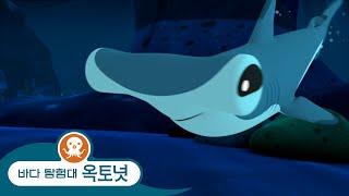 바다 탐험대 옥토넛 - 귀상어 | 2개 에피소드