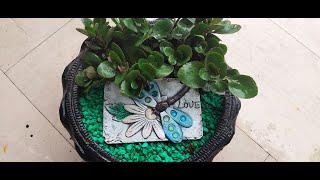 DIY Decor Ideas With Plants | Green Thumb