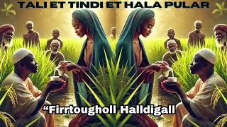 TALI ET TINDI ET HALA PULAR. "Firrtougholl Halldigall"