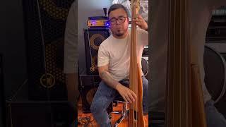 Bass cover - el jardín prohibido- #markbass #sendel