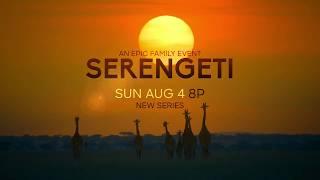 Serengeti | Official Trailer - Narrated by Lupita Nyong'o