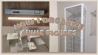  Organizing My Anime Figure Collection!