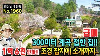 (급매) 350미터 계곡 접한 집!! 전원주택 토지 매매 급매물 구름도 쉬어가는 숲속 위치 유명 잡지에 소개된 정원까지 주택 숫자에 미포함 캠핑장 가능 홍천부동산 - 발품부동산TV