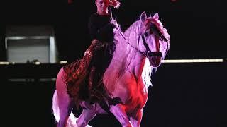 The Fantasia at Equine Affaire