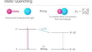 Quenching Concept