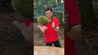 Must Try! The Most Popular Durian Store in Malacca, Malaysia - Fruit Cutting Skills