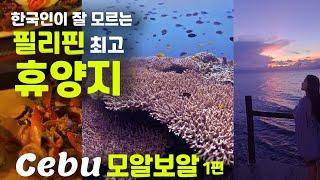 [세부 모알보알] 한국인들이 잘 모르는 필리핀 최고의 휴양지. 세부여행 브이로그 / 모알보알 스노클링