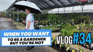 Turf And Tools VLOG #34 Every plant I buy dies (it's not them, it's me...)