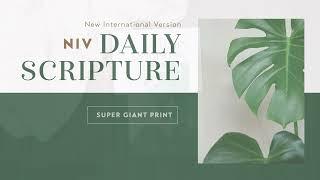 NIV Daily Scripture from Zondervan Bibles (Super Giant Print)