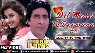 Dil Mere Tu Deewana Hai | Sooryavansham | Amitabh & Rachana Banerjee