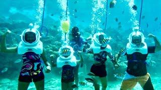Curaçao - Sea Trek: Nov 22