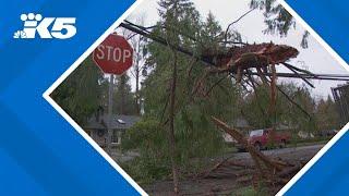 Winds in western Washington topple power lines, trees