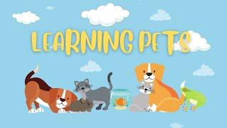 Learning Pets | Kids Learning Video