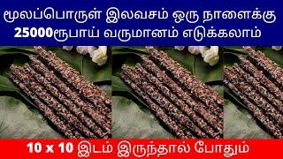 மூலப்பொருள் இலவசம் ஒரு நாளைக்கு 25000ரூபாய் வருமானம் எடுக்கலாம் | Small Business Ideas | Tamil