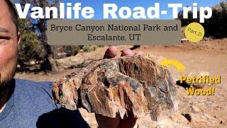 Bryce Canyon and Escalante UT holiday road trip part 2 - Petrified Wood - Red Rocks - Vanlife