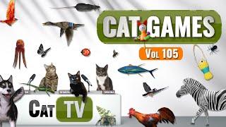 CAT Games | Ultimate Cat TV Compilation Vol 105 | 6 HOURS  