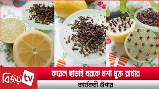 কয়েল ছাড়াই ঘরকে মশা মুক্ত রাখার কার্যকরী উপায় । Bijoy TV