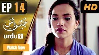 Jackson Heights - Episode 14 | Urdu 1 Dramas | Aamina Sheikh, Adeel Hussain