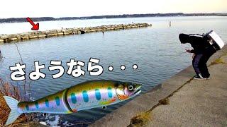 どうしても魚が釣りたくて最後にジョイクロ投げたら最悪の事態に・・・ 【春爆霞ヶ浦・北浦バス釣りリベンジ】