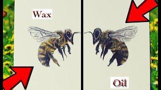 WAX vs OIL BASED COLOURED PENCILS | REVIEW