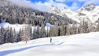 I did a snow hike through an Austrian winter wonderland