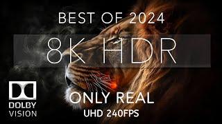 8K Video ULTRA HD 240 fps | Best of 8K HDR Dolby Vision