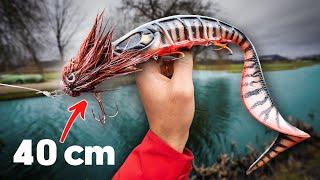 HUGE baits in SMALL waters (English subtitles)