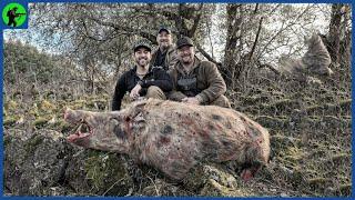 How Do American Hunters Deal With The Devastation Of Wild Boars? | Farming Documentary
