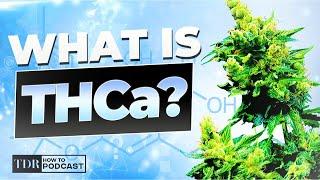 What Is THCa? (LOOPHOLE Explained)